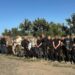 Поліцейські затримали 27 чоловіків на кордоні в Одеській області :: Інтент :: Новини Одеси, Миколаєва, Херсона