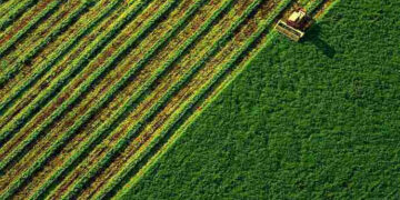 Понад сто тисяч за гектар: на Івано-Франківщині найдорожча земля в Україні