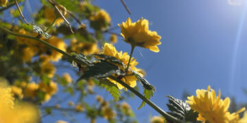 Попереджають про посилення вітру: якою буде погода на Івано-Франківщині 30 липня