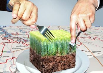 Працівників Держкадастру на Миколаївщині звинуватили у зловживанні службовим становищем :: Інтент :: Новини Одеси, Миколаєва, Херсона