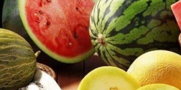 Продаж кавунів у Львові: місця та час торгівлі