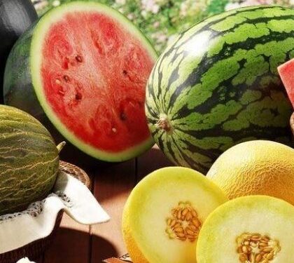 Продаж кавунів у Львові: місця та час торгівлі