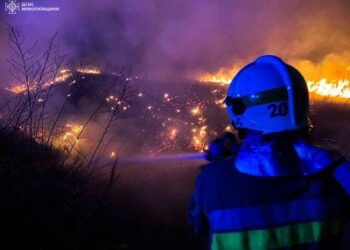 Протягом доби рятувальники ліквідували 30 пожеж » Миколаївський Оглядач
