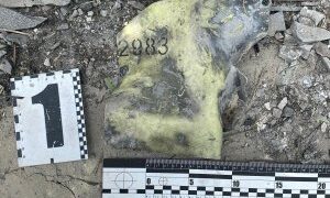 Російська ракета по «Охматдиту» вразила саме ту ціль, на яку була запрограмована » Миколаївський Оглядач