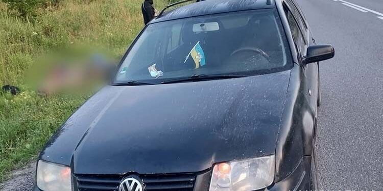 Смертельна ДТП на трасі Тернопіль-Львів – водій сам повідомив про наїзд на пішохода