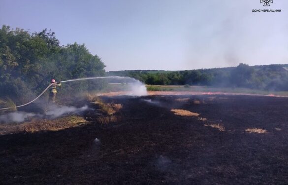 У Черкаському районі сталася масштабна пожежа на полі