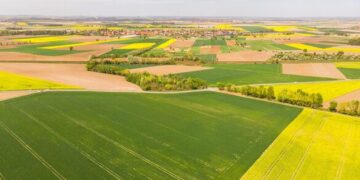 У Каневі із приватної власності повернули ділянку історико-культурного призначення