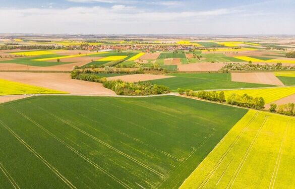 У Каневі із приватної власності повернули ділянку історико-культурного призначення