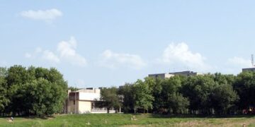 У Львові з’явиться новий спортмайданчик та місце для вигулу собак