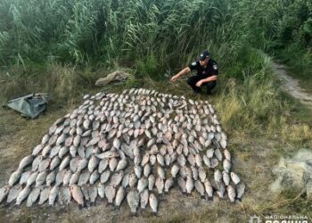 У Миколаєві правоохоронці викрили двох рибалок на незаконному вилові водних біоресурсів » Миколаївський Оглядач