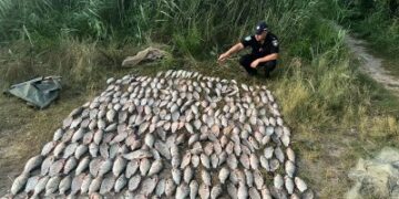 У  Миколаєві правоохоронці викрили двох рибалок на незаконному вилові водних біоресурсів » Миколаївський Оглядач