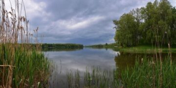 У річці на Черкащині виявили перевищення норми вмісту кишкової палички у 14 разів