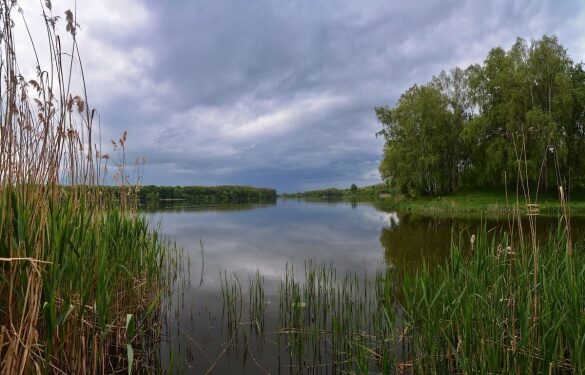 У річці на Черкащині виявили перевищення норми вмісту кишкової палички у 14 разів