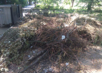 У Запоріжжі біля Алеї троянд утворилося сміттєзвалище – як відреагували в екоінспекції | Новости Запорожья