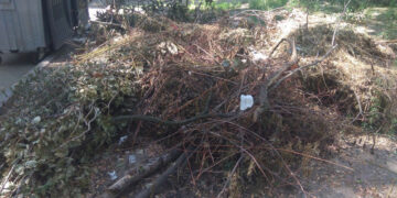 У Запоріжжі біля Алеї троянд утворилося сміттєзвалище – як відреагували в екоінспекції | Новости Запорожья