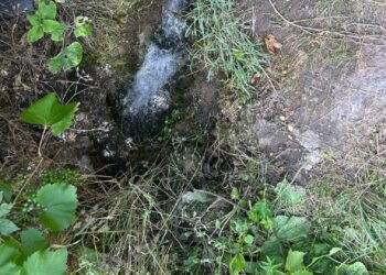 У Запоріжжі річку Суха Московка забруднюють води зі стічної труби – коментар екоінспекції | Новости Запорожья