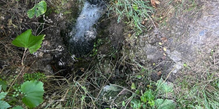 У Запоріжжі річку Суха Московка забруднюють води зі стічної труби – коментар екоінспекції | Новости Запорожья