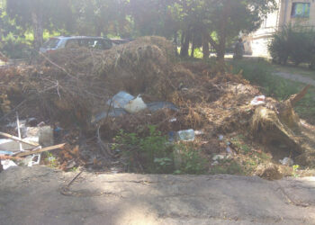 У Запоріжжі виявили чергове сміттєзвалище – коли його приберуть | Новости Запорожья