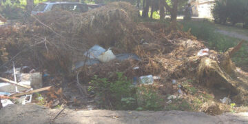 У Запоріжжі виявили чергове сміттєзвалище – коли його приберуть | Новости Запорожья