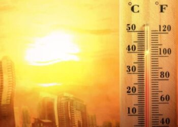 У Запорізькій області через небезпечну хворобу померла людина – деталі | Новости Запорожья