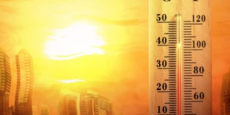 У Запорізькій області через небезпечну хворобу померла людина – деталі | Новости Запорожья