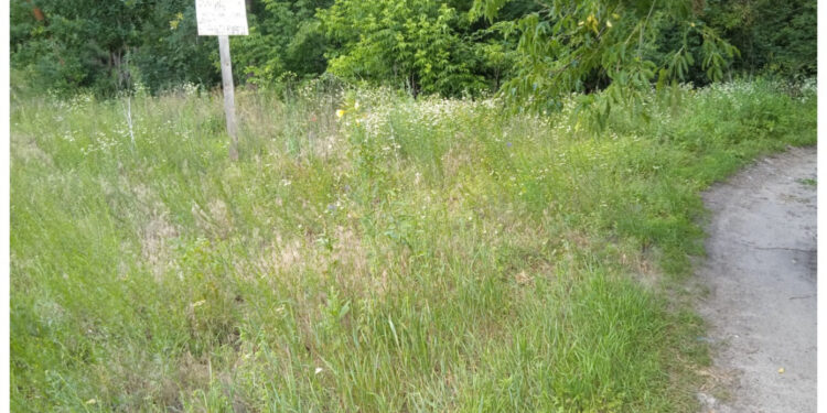 У Житомирському районі ліквідовують несанкціоновані сміттєзвалища | Журнал Житомира