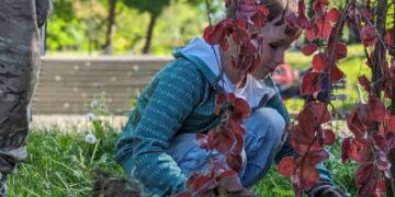 В парку у Львові висадили дерева на пам’ять про полеглих захисників