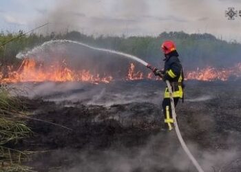 Впродовж вихідних рятувальники Черкащини ліквідували 12 пожеж на відкритих територіях — Новости Черкасс