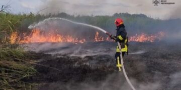 Впродовж вихідних рятувальники Черкащини ліквідували 12 пожеж на відкритих територіях — Новости Черкасс