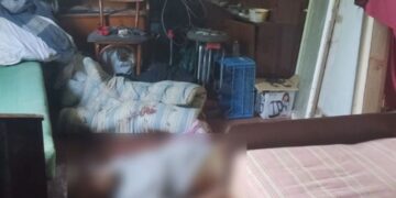 Забив пенсіонера до смерті дерев’яною палицею: судитимуть жителя Шепетівщини —Хмельнитчина