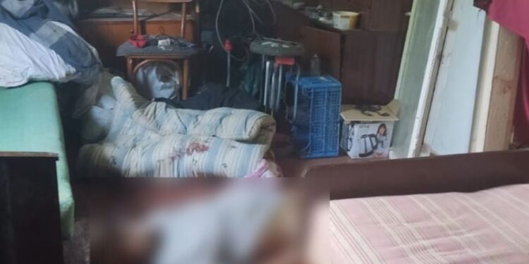 Забив пенсіонера до смерті дерев’яною палицею: судитимуть жителя Шепетівщини —Хмельнитчина