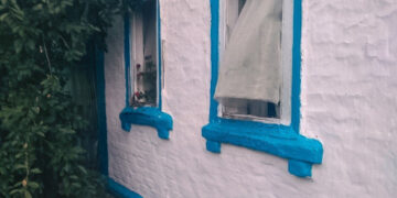 2 серпня: як закінчився у Сумах і на Сумщині робочий тиждень – Область – Сумские новости