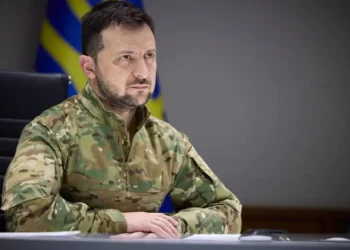 Зеленський подякував Насібову та Беленюку за медалі | Боротьба |