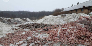 Забруднення відходами 1,3 га земель на Київщині | Новини Київ