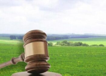 На Вінниччині розкрили схему незаконного відчуження землі – ЭКОНОМИКА