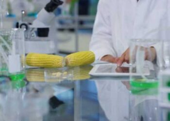 В Україні ще одна фітосанітарна лабораторія отримала повноваження – ЭКОНОМИКА