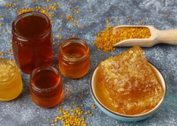 12 українських компаній експортують мед до ЄС – ЭКОНОМИКА