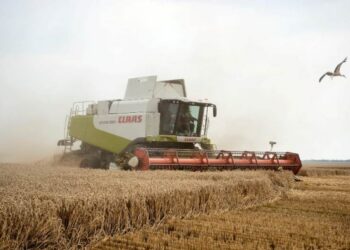 Аграрії Черкащини завершили збір ранніх зернових: скільки врожаю змолотили