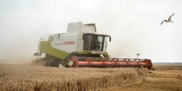 Аграрії Черкащини завершили збір ранніх зернових: скільки врожаю змолотили