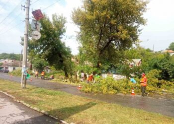 Дерево майже повністю перекрило рух: у Тальному ліквідували наслідки негоди (ФОТО)