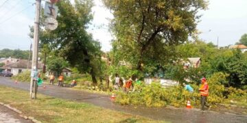 Дерево майже повністю перекрило рух: у Тальному ліквідували наслідки негоди (ФОТО)