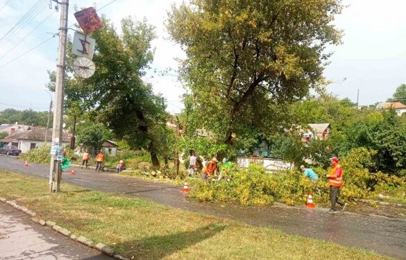 Дерево майже повністю перекрило рух: у Тальному ліквідували наслідки негоди (ФОТО)