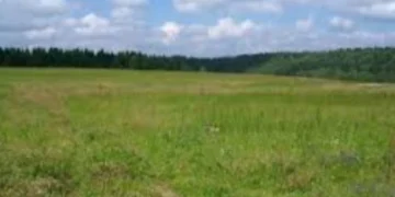 До комунальної власності Херсона повернули три земельні ділянки