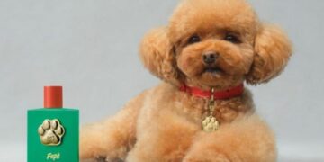 Dolce&Gabbana випустили парфум для собак Fefé – Экономика