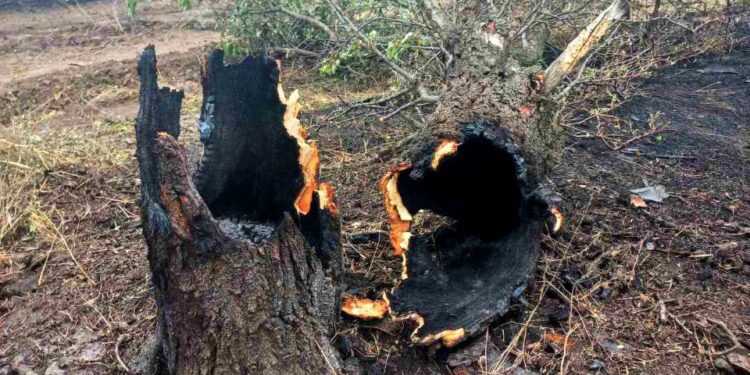 Під час ворожої атаки на Запоріжжя постраждала Хортиця | Новини Запоріжжя