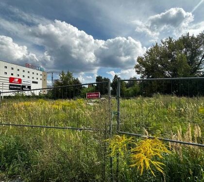 Фантомні ставки на Замарстинівській: чи повернуть водойми львів’янам