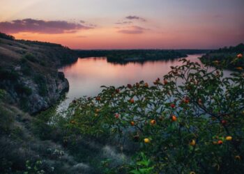 Якою буде погода у Запоріжжі на початку тижня – прогноз на 26, 27 та 28 серпня | Новости Запорожья