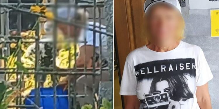 На Хмельниччині спіймали жінку, яка вкрала квіти з могили загиблого захисника —Хмельнитчина