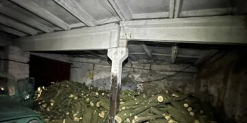 На Миколаївщині судитимуть організоване злочинне угрупування, яке вирубало дерева :: Інтент :: Суспільно-політичне видання:: Регіональна мережа якісної журналістики