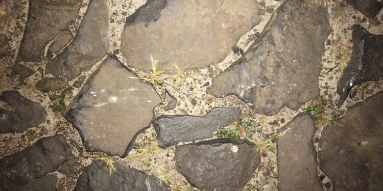 На Рівненщині у ДТП знову травмувався мотоцикліст